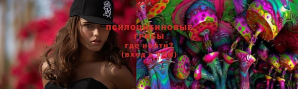 стафф Волоколамск