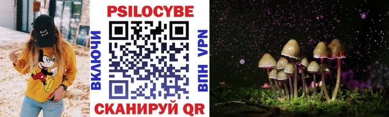 Галлюциногенные грибы мухоморы  Купить где  Кашин 