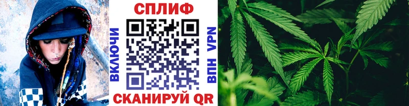 Купить закладки  Кашин  Канабис SATIVA & INDICA 