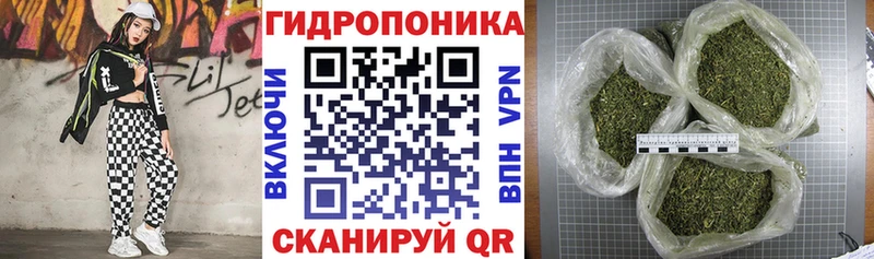 Каннабис AK-47 Кашин